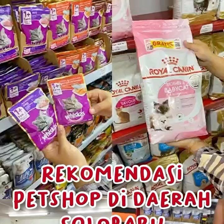 Jurassic Petshop Rekomendasi Petshop di Solo Baru