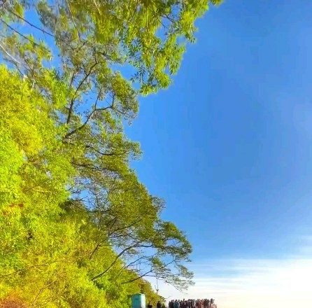 Kapan Main Kesini Gunung Telomoyo Semarang