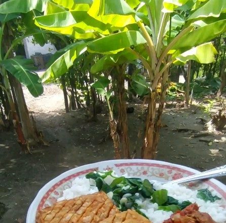 Menu Sarapan Pagi Favorit Kamu di Solo