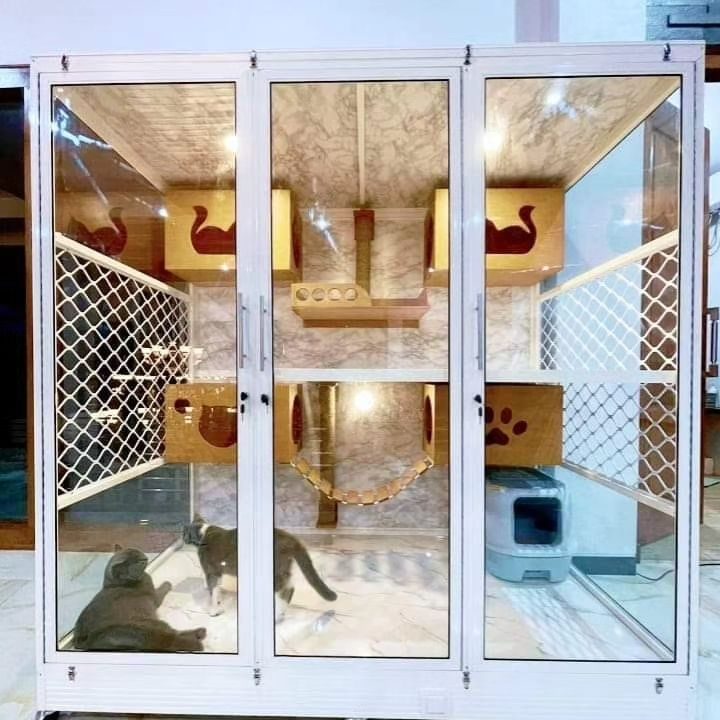 Pesan Kandang Kucing Murah di Solo September 2023