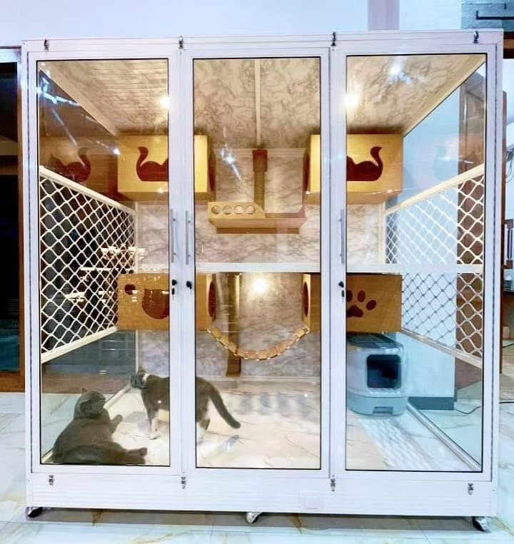 Pesan Kandang Kucing Murah di Solo September 2023