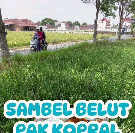 Cobain Sambel Belut Pak Kopral Bekonang Mojolaban