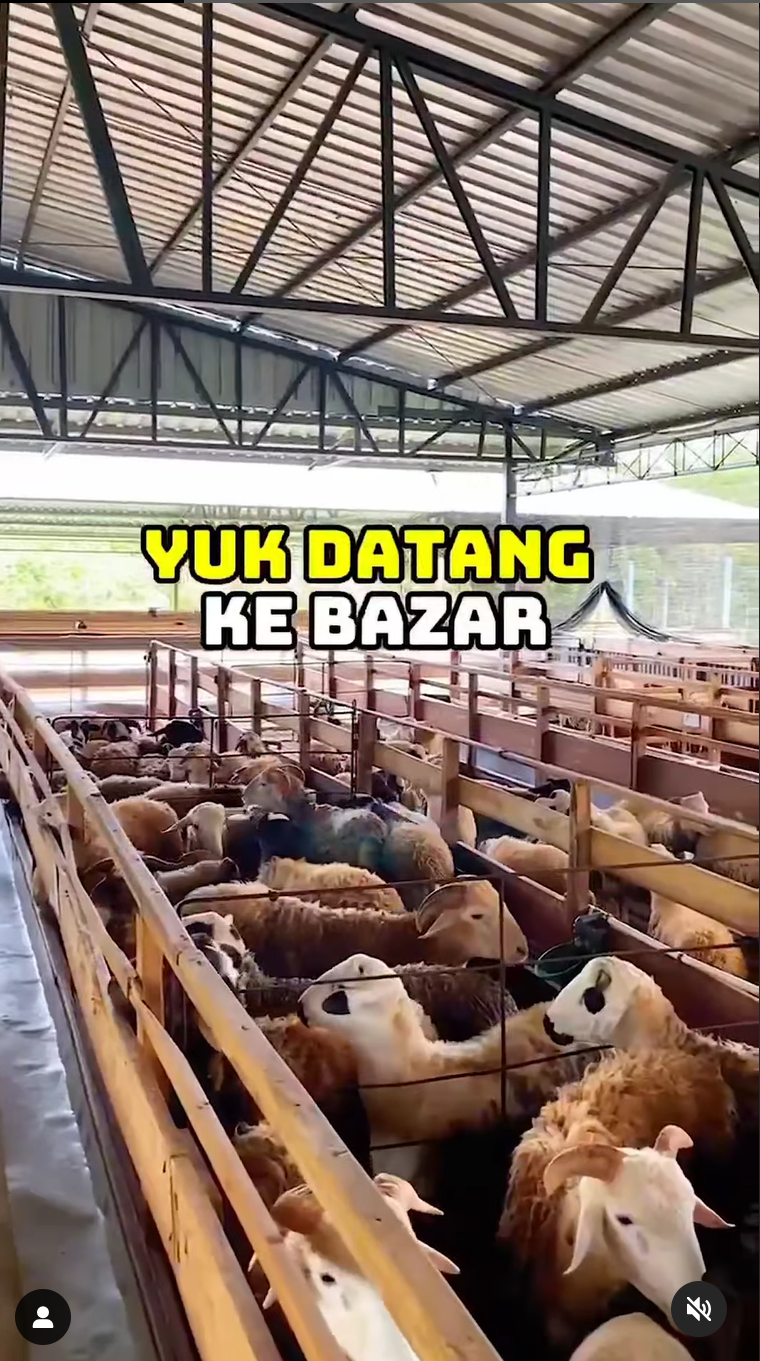 Tempat Wisata Edukasi Ternak Hewan Kurban di Solo